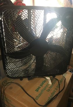 Fan