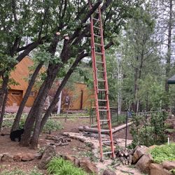 24 ft Extention Ladder
