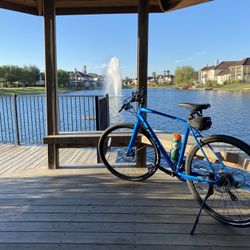 Giant Escape 2 Disc Bike