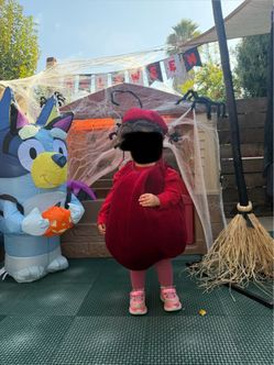 Halloween costume -Pottery Barn