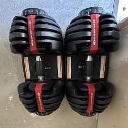 Bow Flex 52.5lbs -5lb