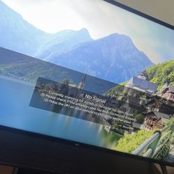 LG TV 50in