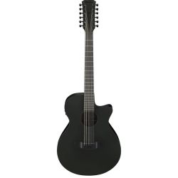 Ibanez AEG1221 AEG 12-String Acoustic Electric Guitar - Black Out