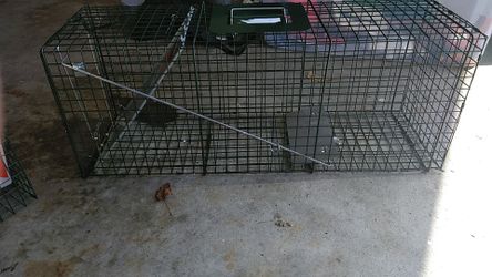Cat trap catch and release