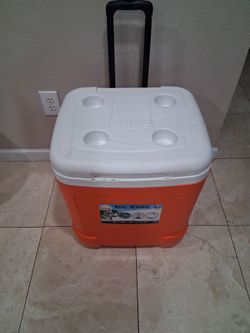 Igloo Cooler