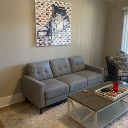 Gray Sofa