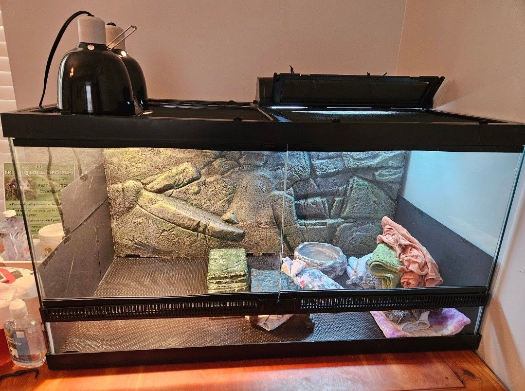 Front Opening Bearded Dragon/ Reptile Tank 
