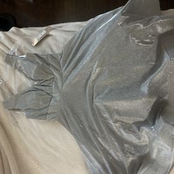 Silver dress