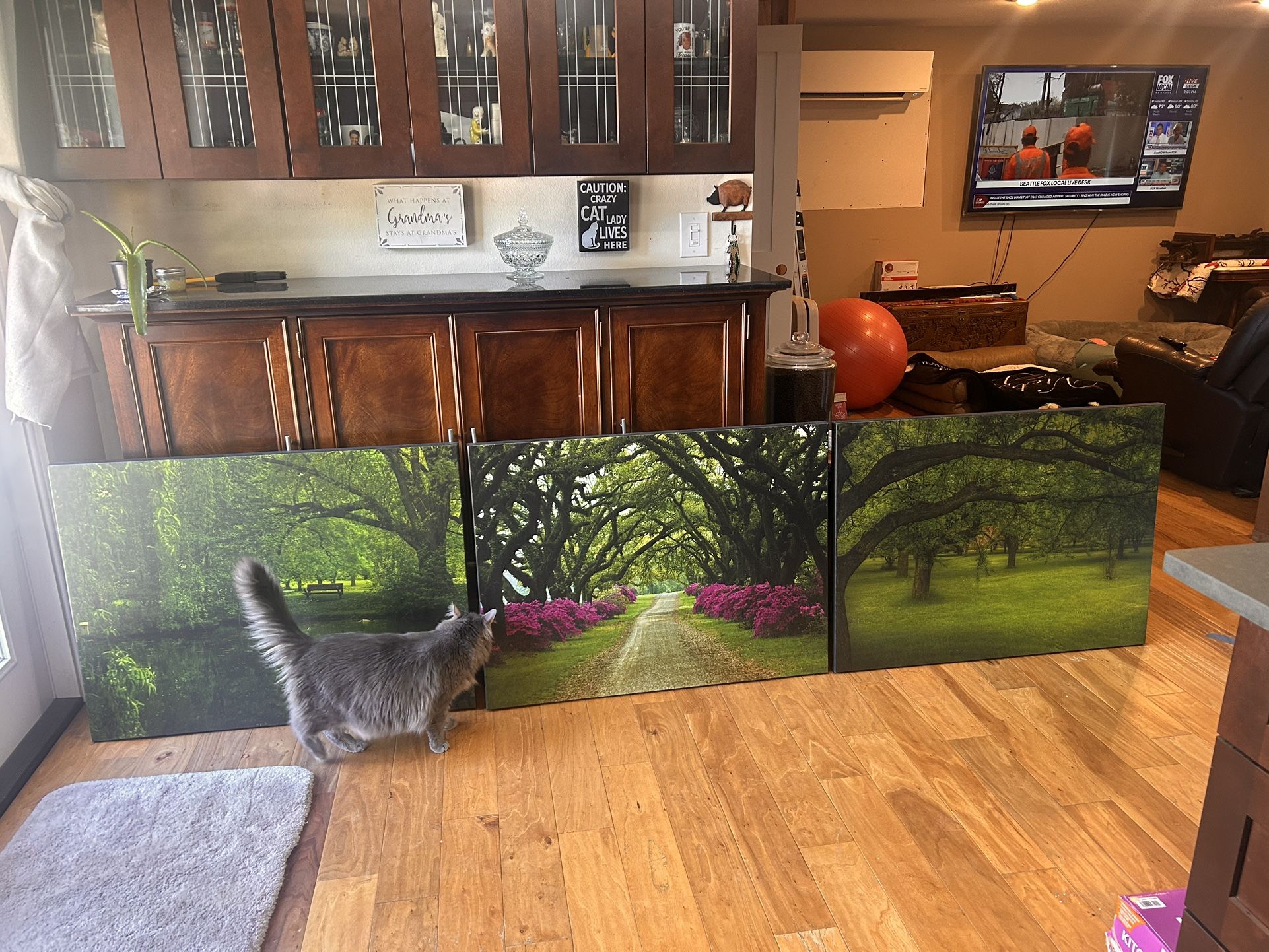 Set Of Three Large Landscape Canvas Prints