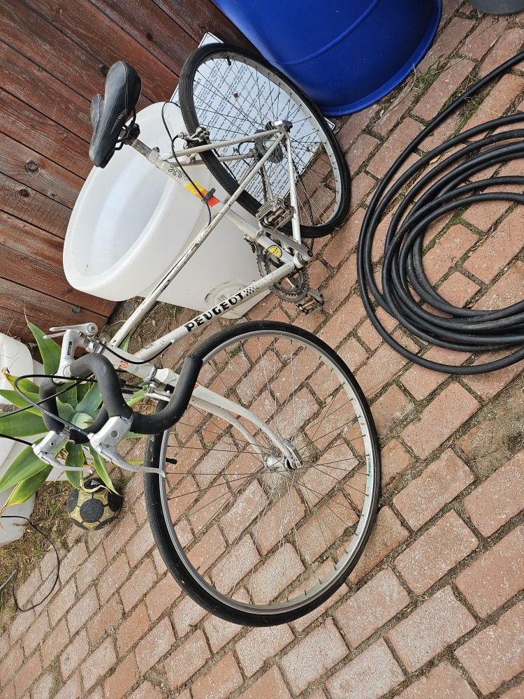 Vingage Peugeot Bike