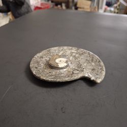 Polished Ammonite Fossil Spiral Handcrafted From Stone In The Atlas Mountains Of Morocco, Decoration Or Trinket Dish 4.5" X 4"
