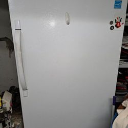 Fridaire Freezer Refrigerator 