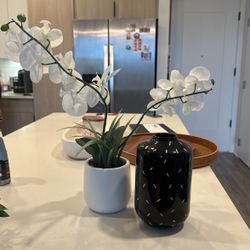 Vase And Artificial Orchid Plant