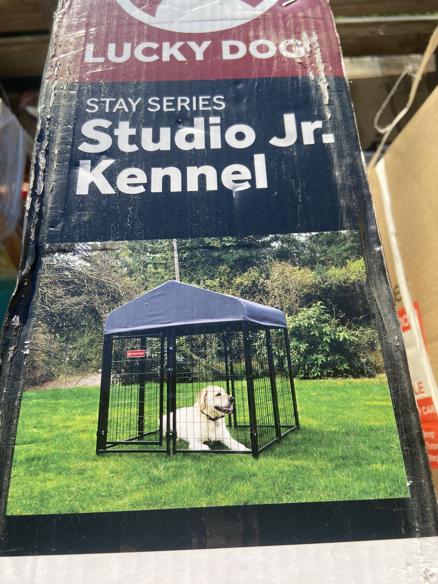 Dog Kennel / Studio