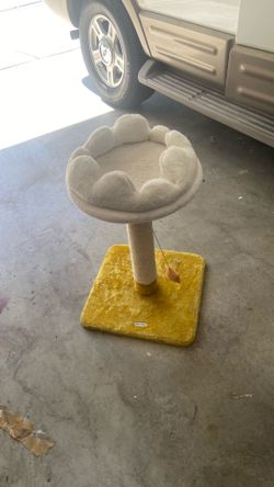 Cat toy