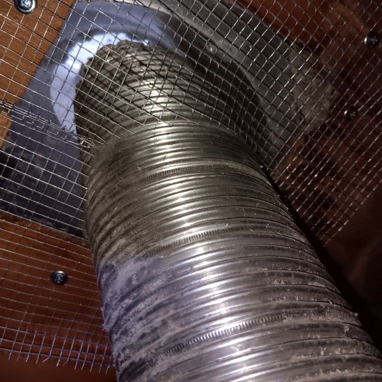 Rodents Inspection& Sealup Entry Points.