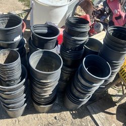 $20 Take All Planting Buckets