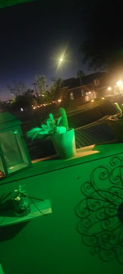Porch decor and 🌵  plants all for 30