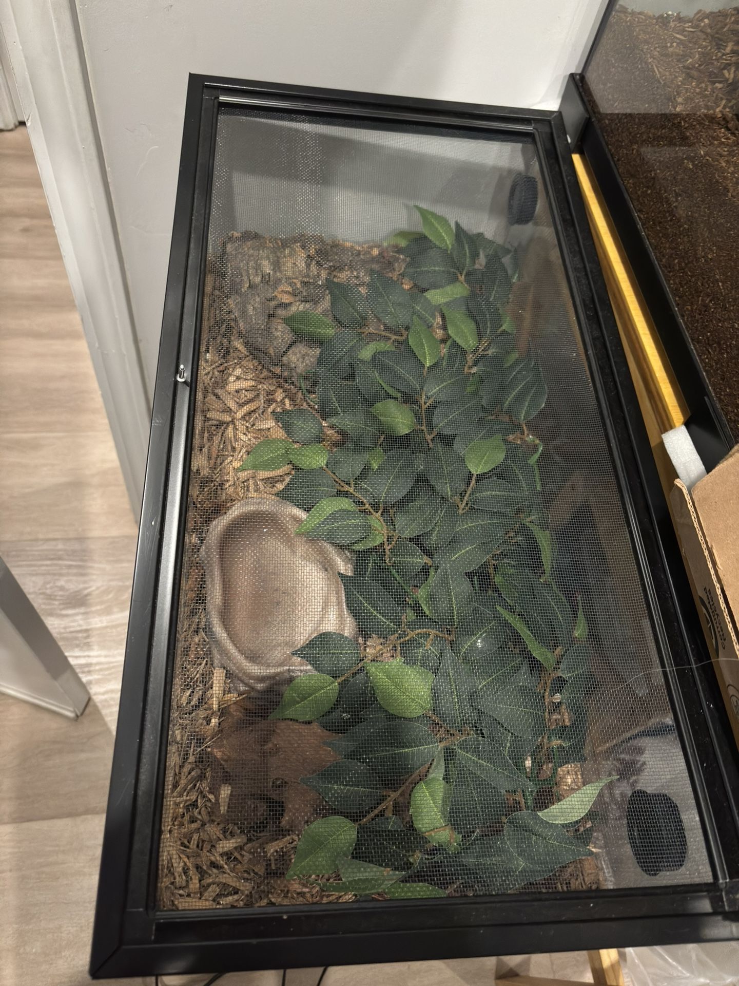 Corn snake enclosure