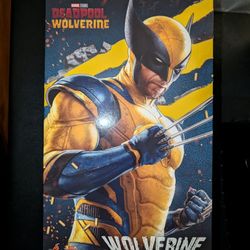 Hot toys Wolverine 