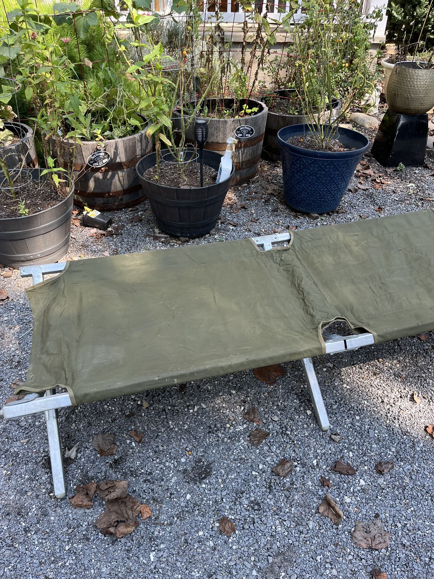 Army Cot  (twin Size)