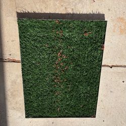 Puppy potty training pan