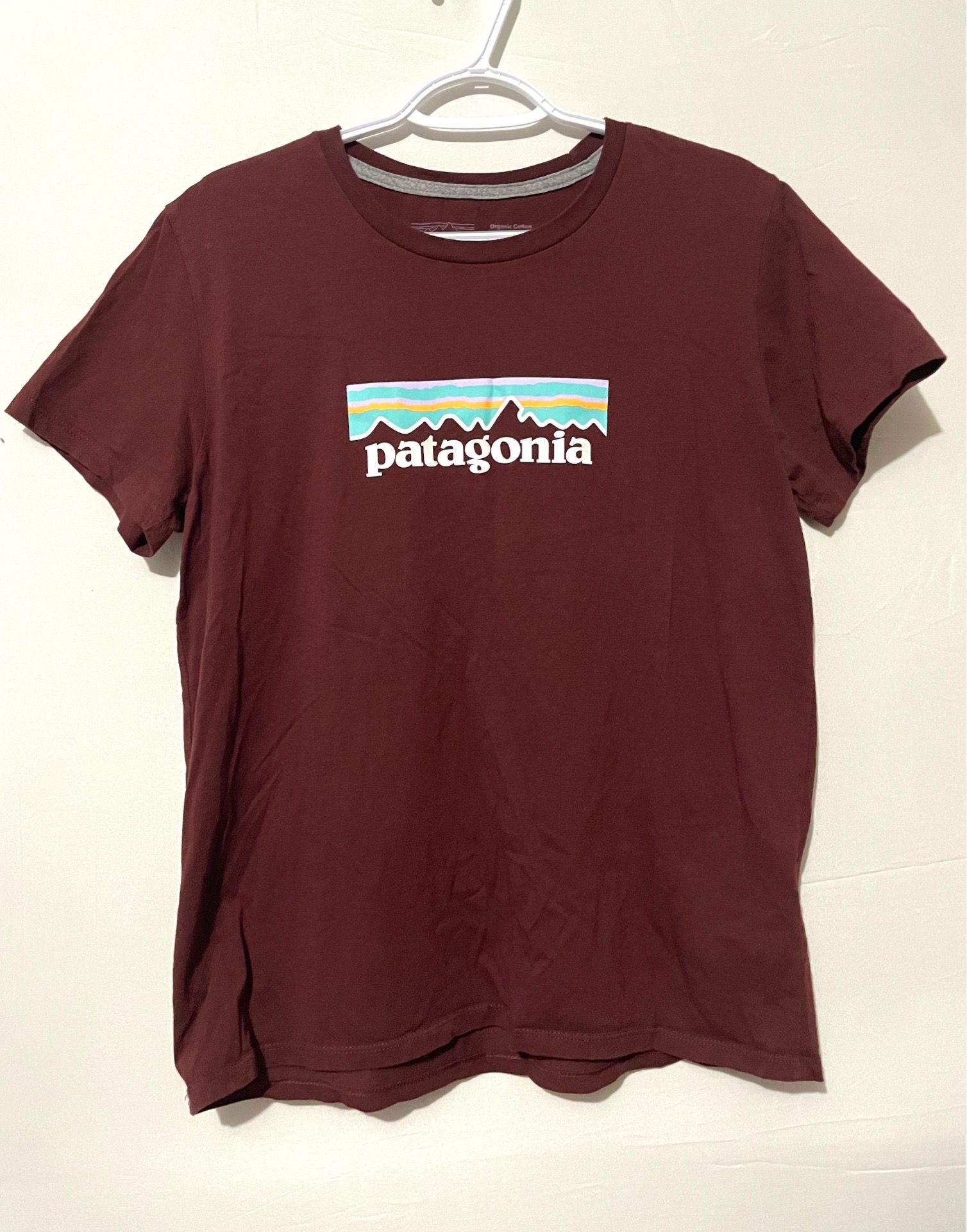 Patagonia Shirt