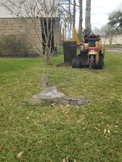 Stump grinding