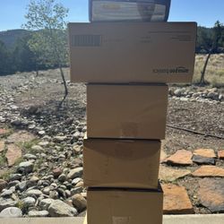 Women’s S/M Disposable Underwear