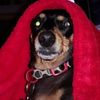 T.Lee