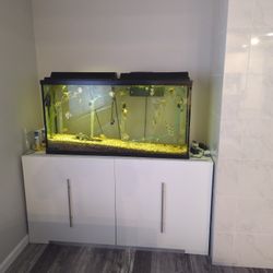 55 gallon aquarium with light, Bottom Filter And Stand 