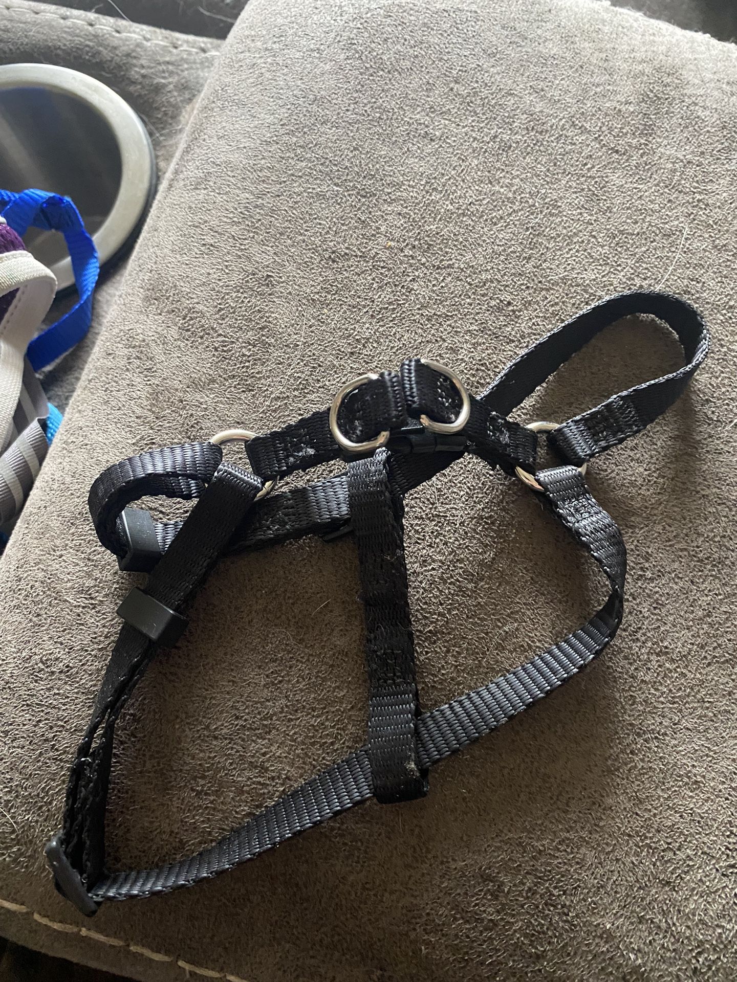 Cat/ Small Animal Harness (Dual Clip Option) 