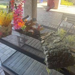 40 Gallon Aquarium and Accessories For Reptile/Turtle