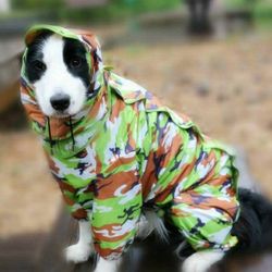 dog rain jacket