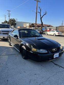 2000 Ford Mustang