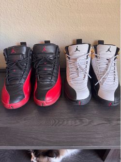 Jordan 12 retro