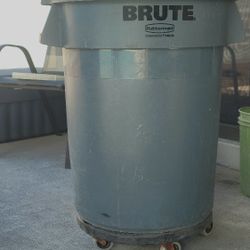 Brute Garbage Bin