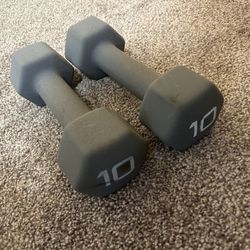 Two 10lb Weights