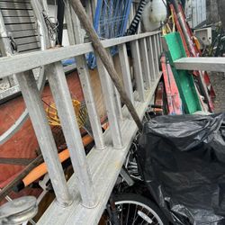 20ft Extendable Ladder 