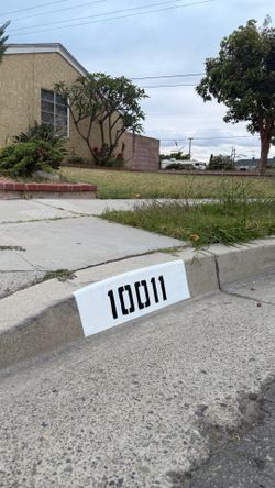 Curb Painting !