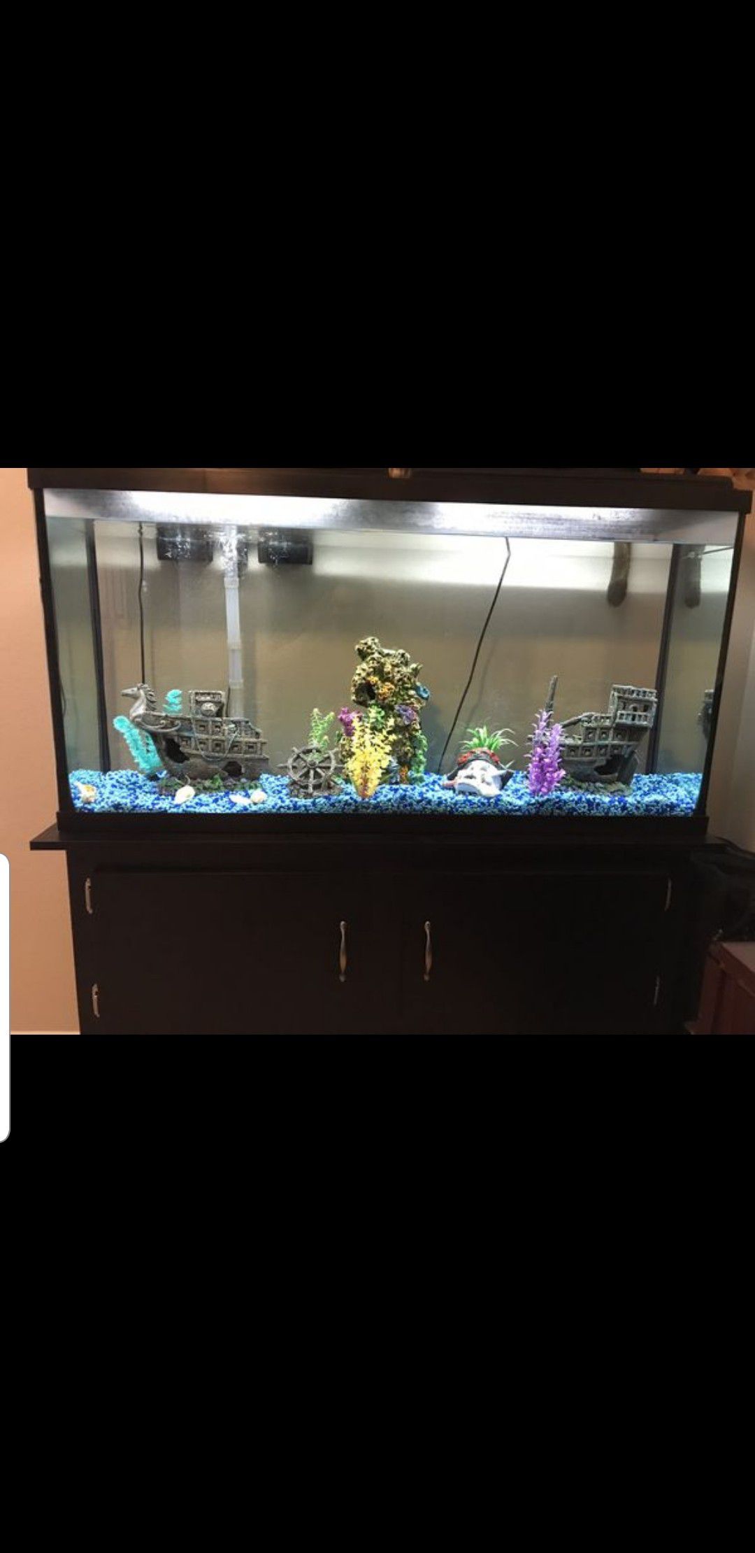 Fish tank 55 gallon