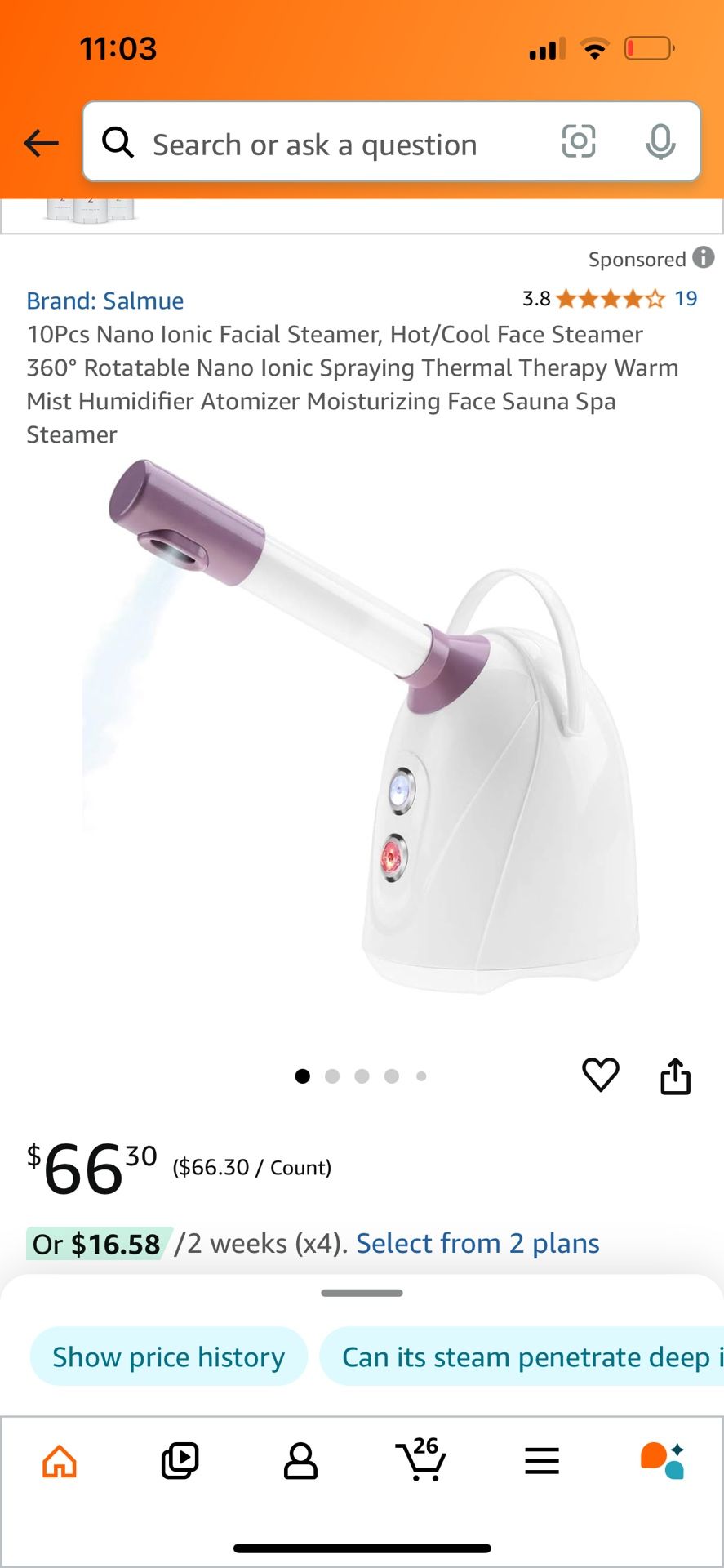 Facial Steamer