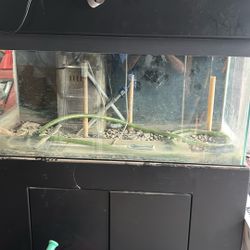 Fish Tank With Canopy  40 Gal 