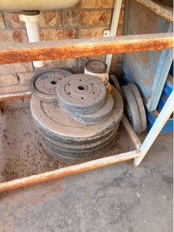 Gym Equipment