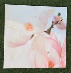 Magnolia Floral Canvas Wall Art Print