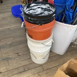 5 Gal Buckets 