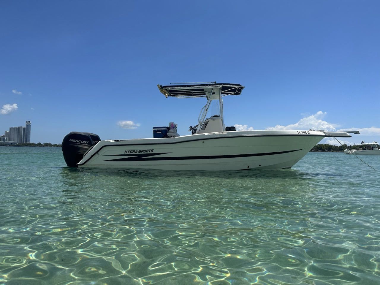 1999/2019 Hydra Sport 2450 vector