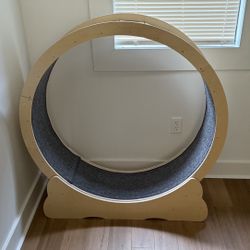 Cat Treadmill Wheel- Running Exercise