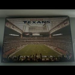 Texans Art Canvas 