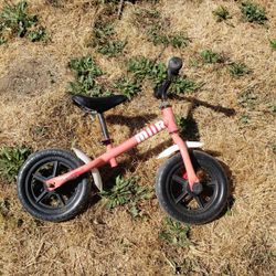 MIIR Trainer Bike From REI For Kids 